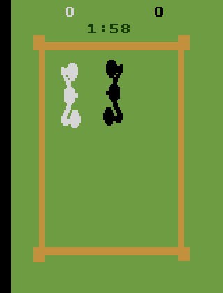 Boxing screen